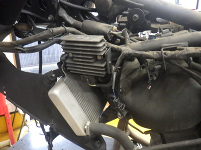 RIMG3261