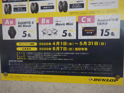 RIMG2593