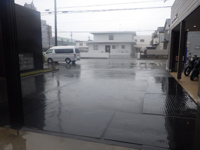 IMGP2517