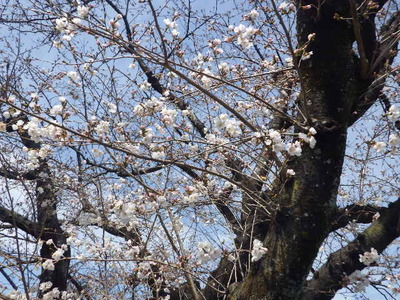 IMGP0878