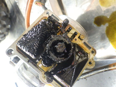 RIMG6918