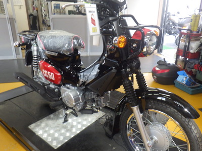 RIMG2083