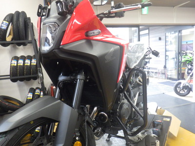 RIMG3959