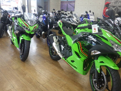 RIMG2797