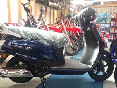RIMG9504