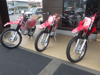 RIMG8799