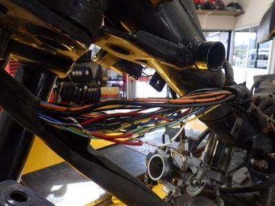 RIMG2088
