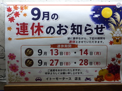IMGP3493