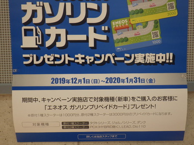 RIMG1677