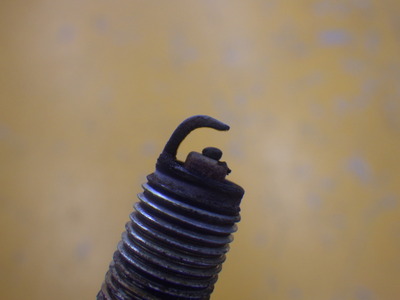 RIMG6822