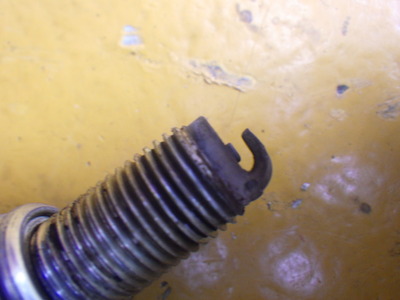 RIMG0837