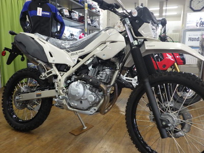 IMGP0382