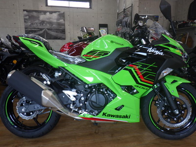 RIMG8843