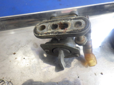 RIMG1798
