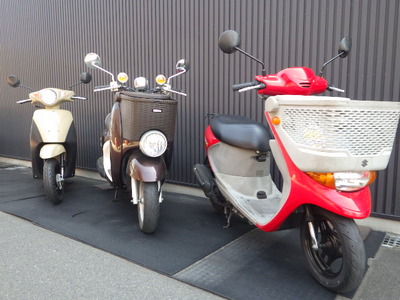 IMGP2682