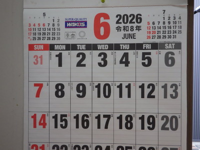 IMGP3007