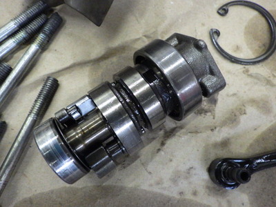 IMGP3118