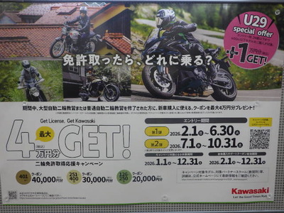 IMGP2541