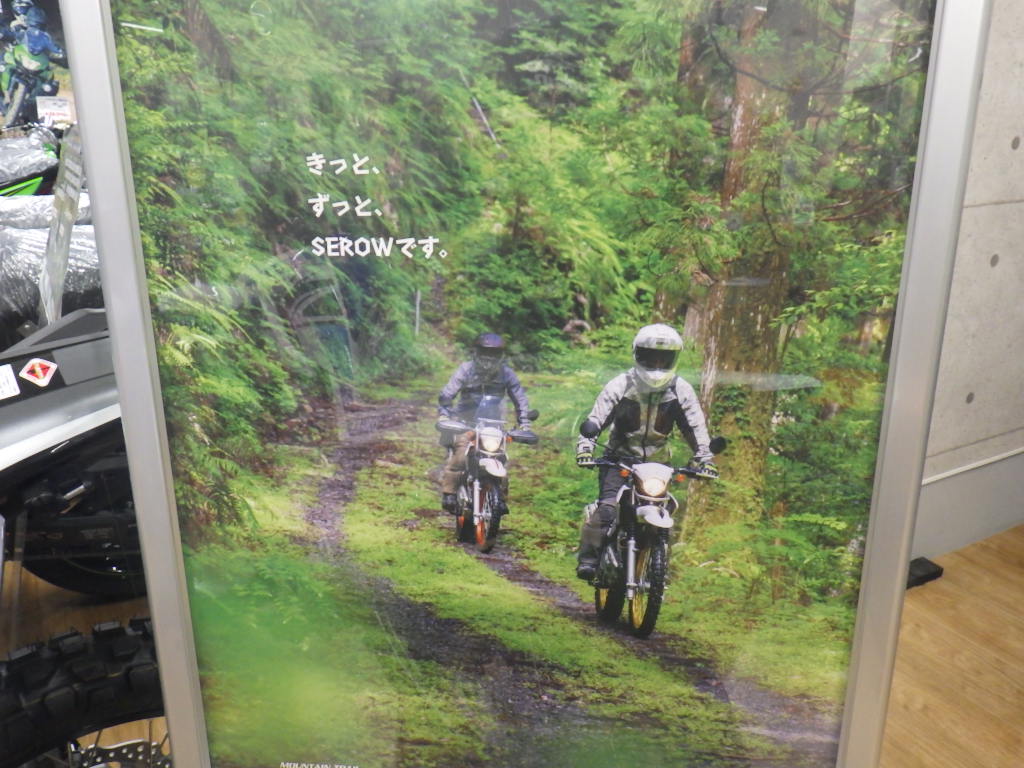 イメージ 1