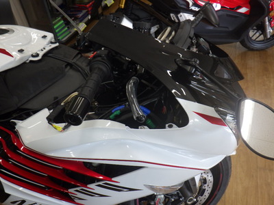 RIMG3608