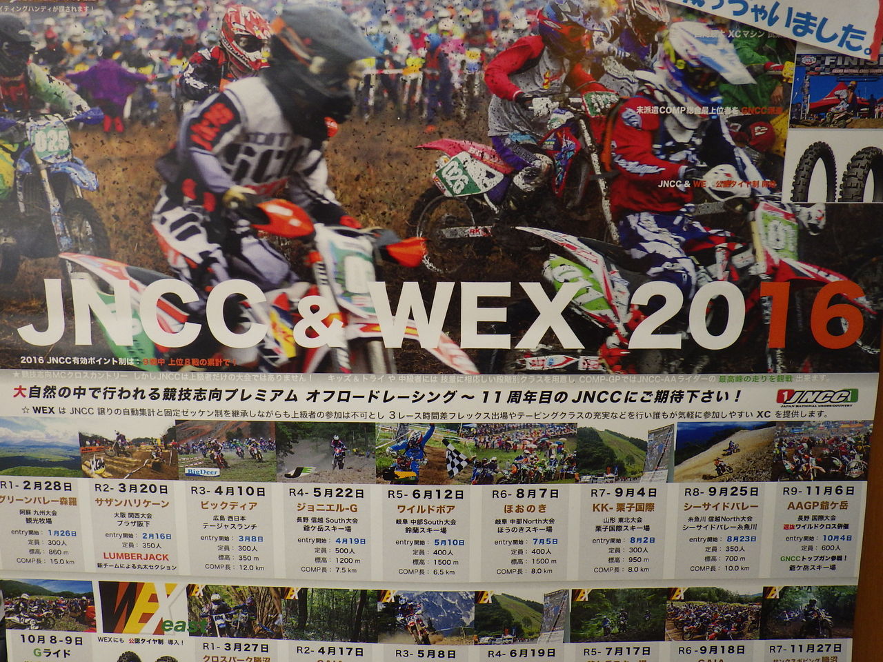 イメージ 1