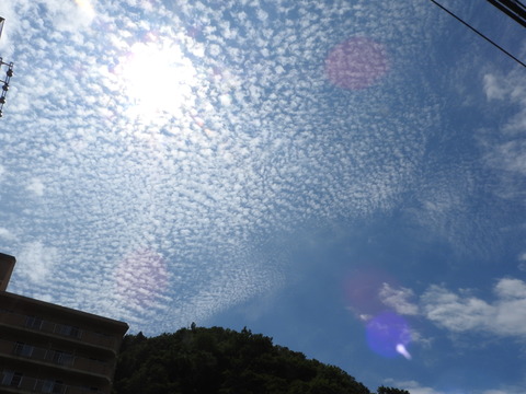 DSCN2947
