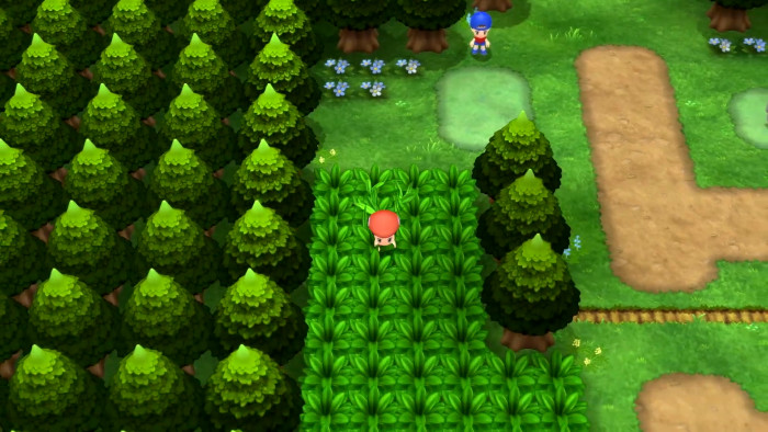 Pokemon くまぼんの徒然草