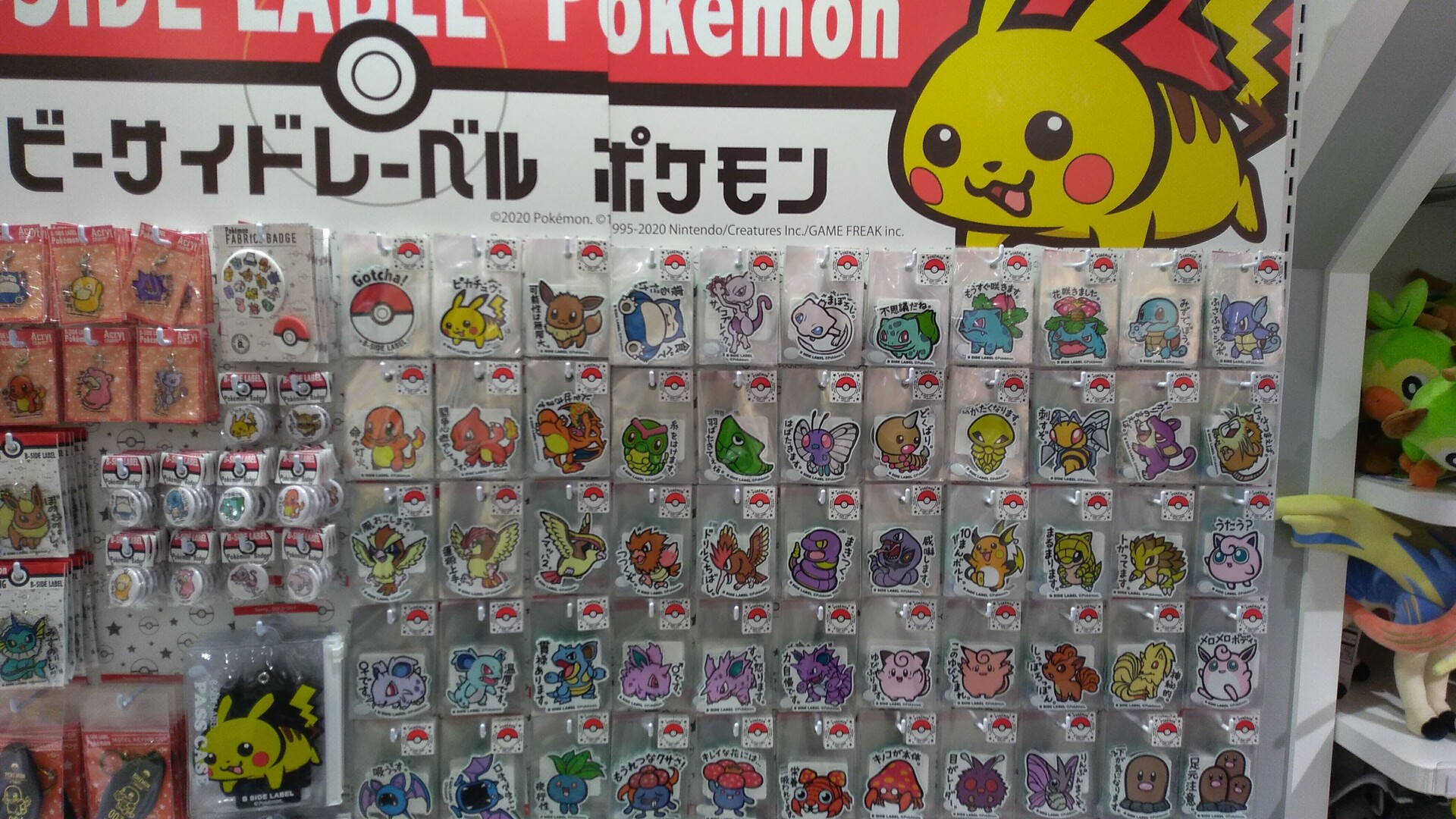 ポケモンセンター くまぼんの徒然草 ポケモンセンター くまぼんの徒然草