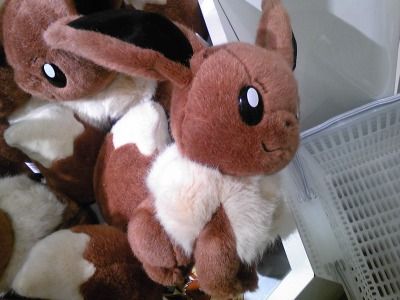 ぬいぐるみ 等身大イーブイ くまぼんの徒然草