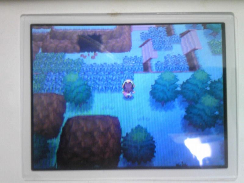ブラックｐｌａｙ日記 ジャイアントホール くまぼんの徒然草