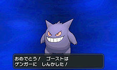 ポケットモンスター X Y クリスマス交換会 でメガシンカするポケモンをもらおう くまぼんの徒然草