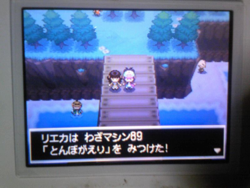 ブラックｐｌａｙ日記 １３番道路 カゴメタウン くまぼんの徒然草