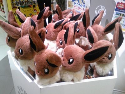 ぬいぐるみ 等身大イーブイ くまぼんの徒然草