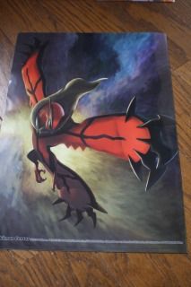 ポケモンセンターで購入 くまぼんの徒然草