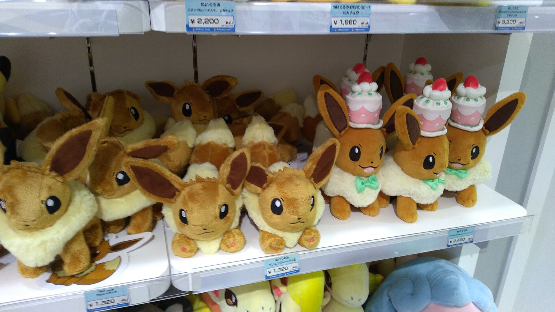 ポケモンセンター くまぼんの徒然草 ポケモンセンター くまぼんの徒然草