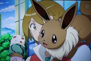 ポケットモンスター ベストウイッシュ シーズン2 エピソードn くまぼんの徒然草 ポケットモンスター ベストウイッシュ シーズン2 エピソードn くまぼんの徒然草