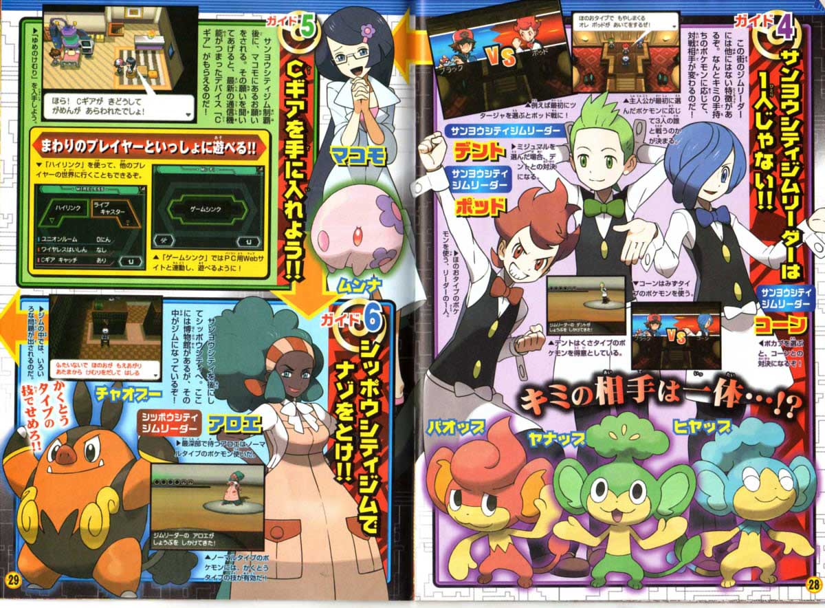 御三家の進化形 くまぼんの徒然草