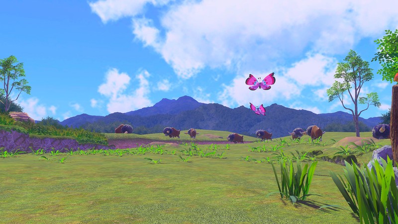 Nintendo Switch New ポケモンスナップ が発売 くまぼんの徒然草