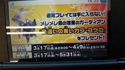 色違いの黒いカプ コケコ キャンペーン くまぼんの徒然草 色違いの黒いカプ コケコ キャンペーン くまぼんの徒然草