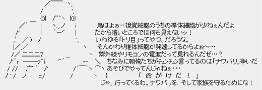鳥はよぉ　紫外線やリモコンの電波だって見れるんだぜ