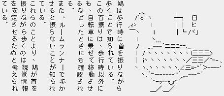 ハトが首を振りながら歩くのは視覚情報を安定させるため