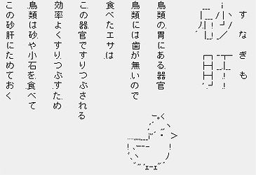 鳥類には歯がないため砂肝ですりつぶし消化する
