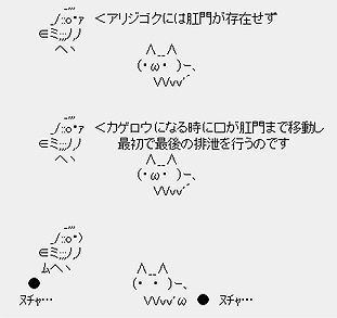 アリジゴクには肛門が存在せず、カゲロウになる時に口が肛門まで移動し最初で最後の排泄を行うのです