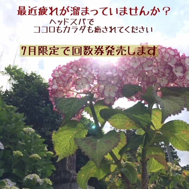 phonto