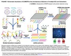Cas12aバイオセンサーにImmuno-CRISPRアレイと機械学習を取り入れることで、血漿バイオマーカー６種類の同時検出を介したアルツハイマー病の超早期診断 を実現