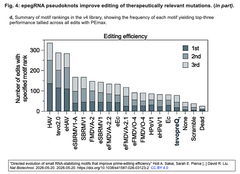 “Directed evolution of small RNA 4 -d