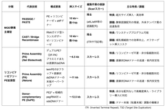 [レビュー] DSB（二本鎖切断）フリーな大規模（キロベーススケール）DNA挿入技術の進化と課題