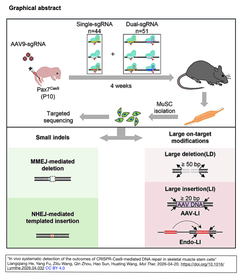 In vivo systematic detection