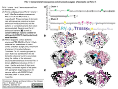[2022/06/14更新]猫アレルギーの方々へ - CRISPR-Cas9遺伝子編集で猫からアレルゲンを除去