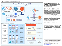 Virtual Cell Challaenge 2026